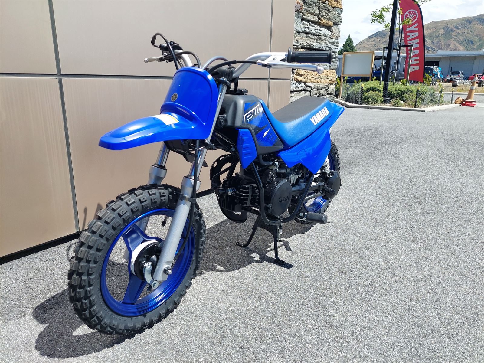 PW50P