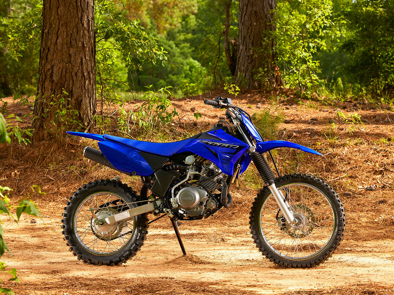 TTR125