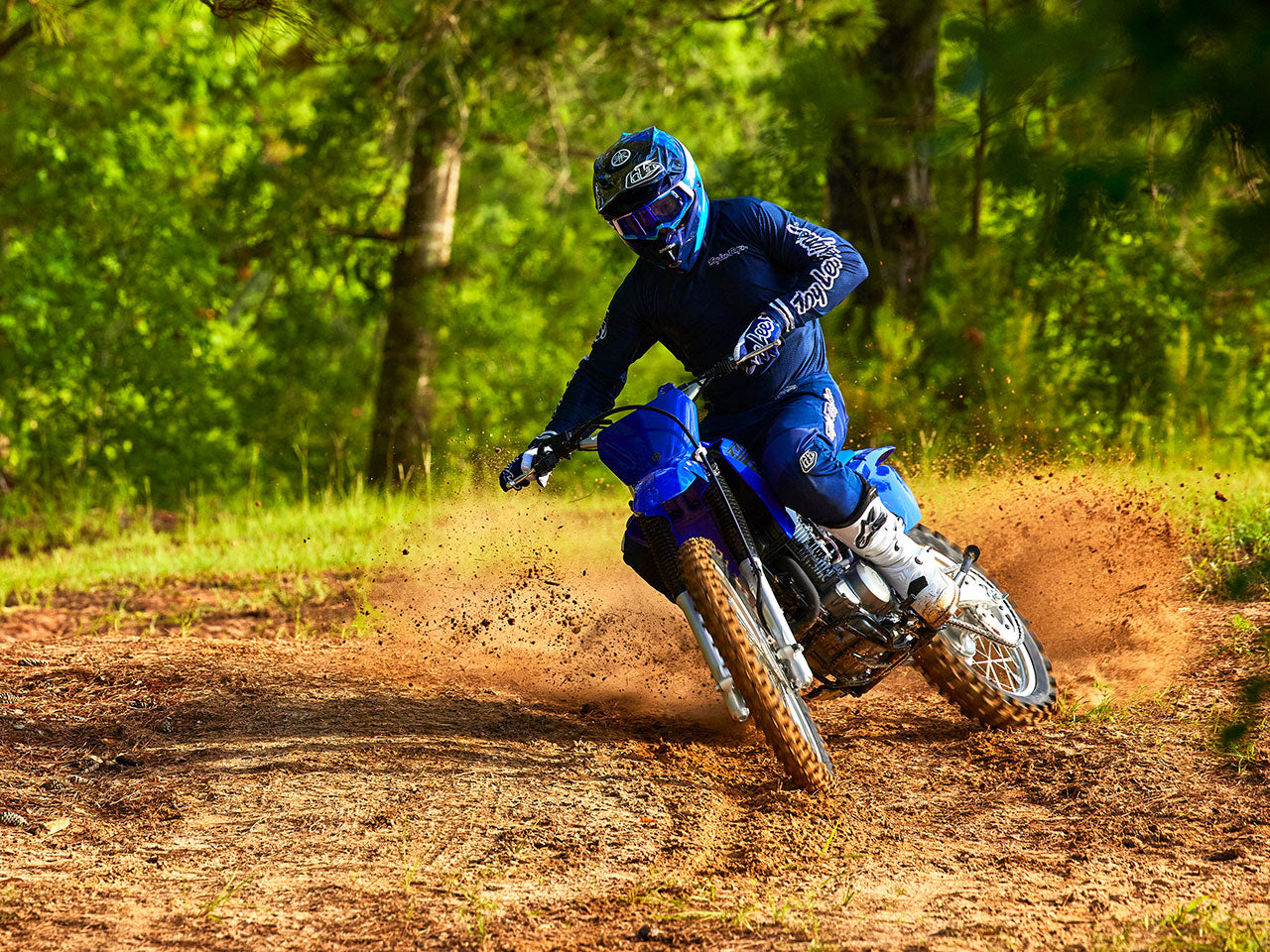TTR230
